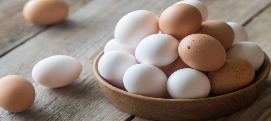 تولید یک عدد تخم‌ مرغ ۷۵۰ سی سی آب مصرف می‌کند